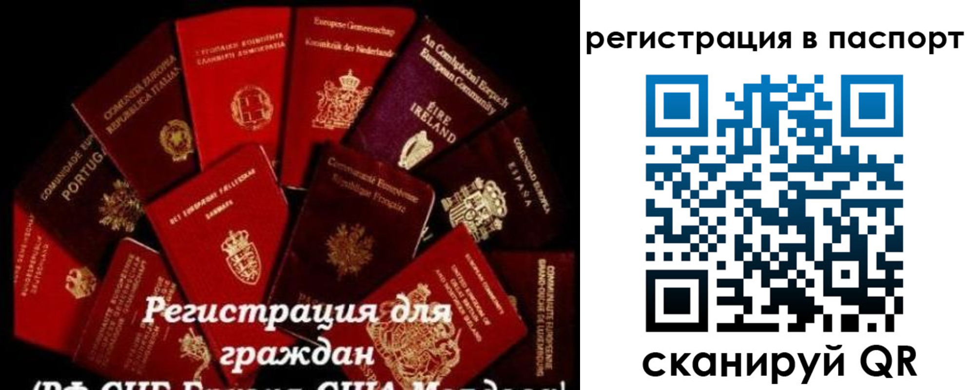 миграционный учет в Солнечногорске